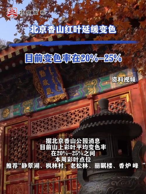 香山红叶变色延迟揭秘