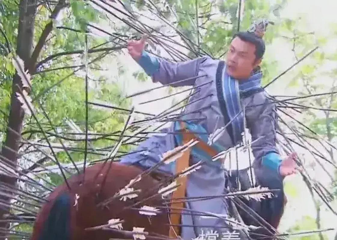 主人称马被箭射死:怀疑是无人机投射