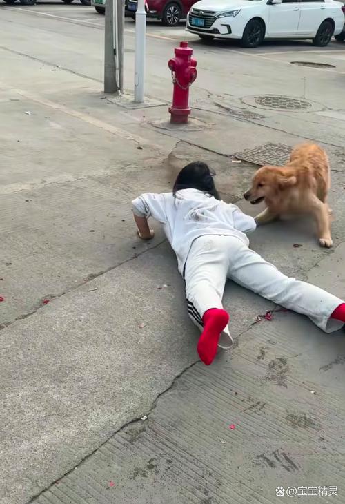 安徽一狮子街头狂奔 有人拿铁锹追