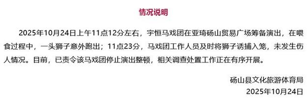 安徽街头狮子狂奔,铁锹追逐惊魂时刻