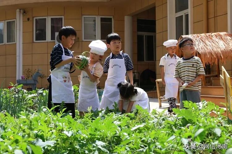 “吃苦幼儿园”为何能走红