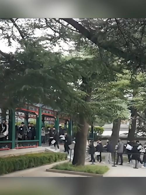 杨振宁遗体告别仪式,安卧翠柏丛中的永恒告别