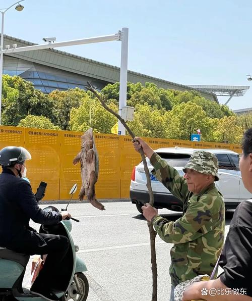 安徽一狮子街头狂奔 有人拿铁锹追