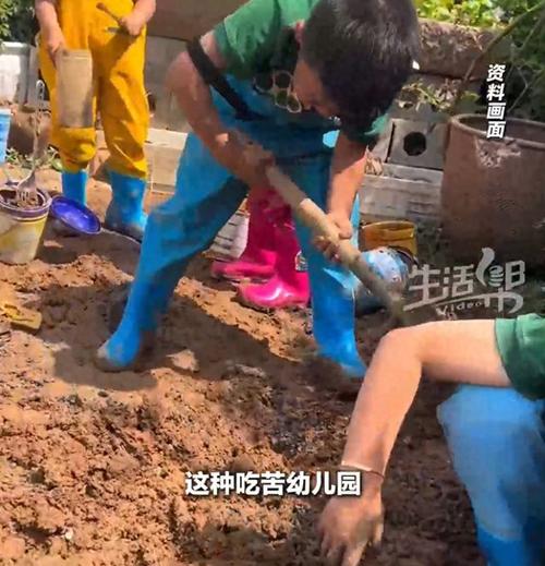 吃苦幼儿园现象走红探究