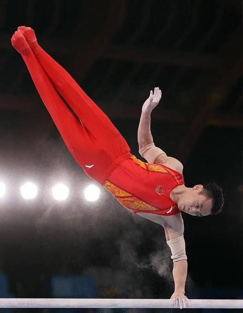 邹敬园实现体操世锦赛双杠四冠王壮举