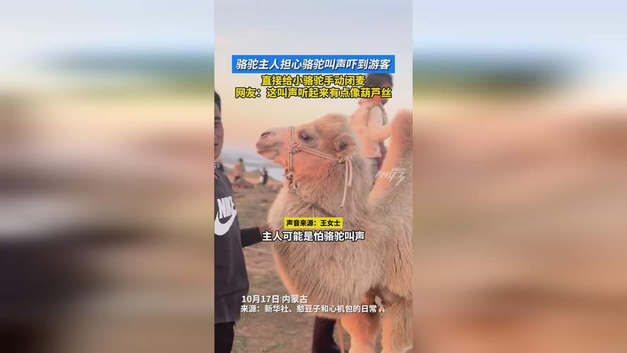 80天3人遇难 深圳知名公园紧急提醒