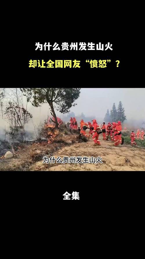 贵州法庭唱山歌调解矛盾视频火了