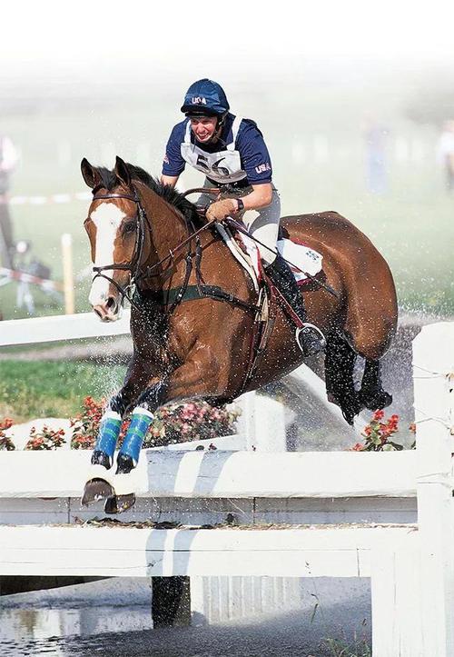 男子买马一觉醒来1匹变2匹