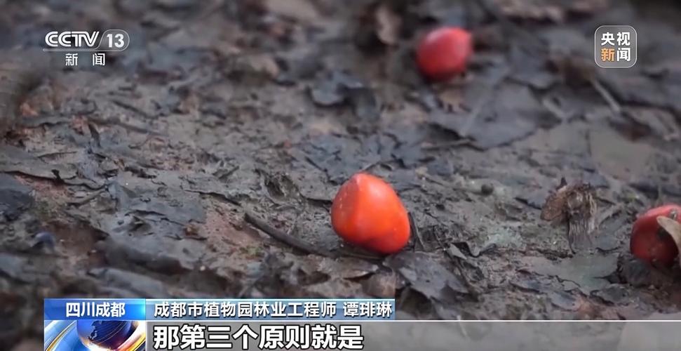 捡秋需谨慎，风险与尝鲜之间的权衡