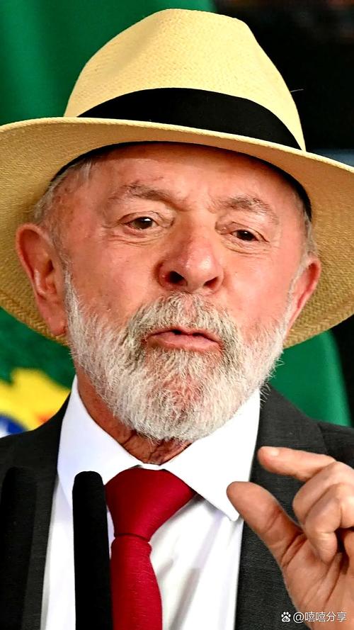 巴西总统：一个国家不能无视他国主权