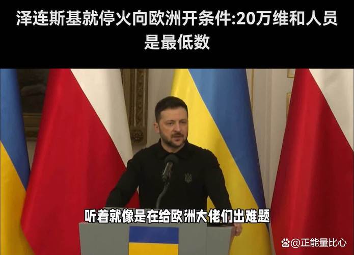 14国联合声明：支持俄乌立即停火