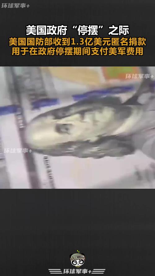 揭秘美军捐赠巨额资金的神秘人身份曝光