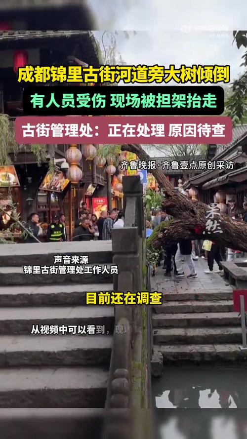 成都景区古柳倒塌，两游客受伤