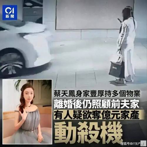 台湾创投公司CEO与女子陈尸豪宅