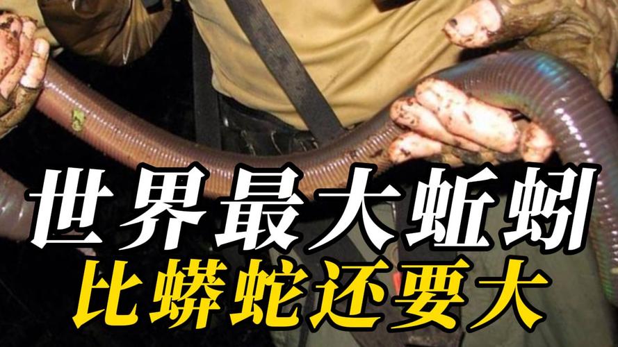 大湾区巨龙精准毫米级合体，6000吨级项目展现超强制造力