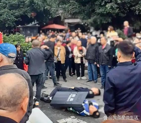 成都一景区古柳突倾倒 两游客被砸伤