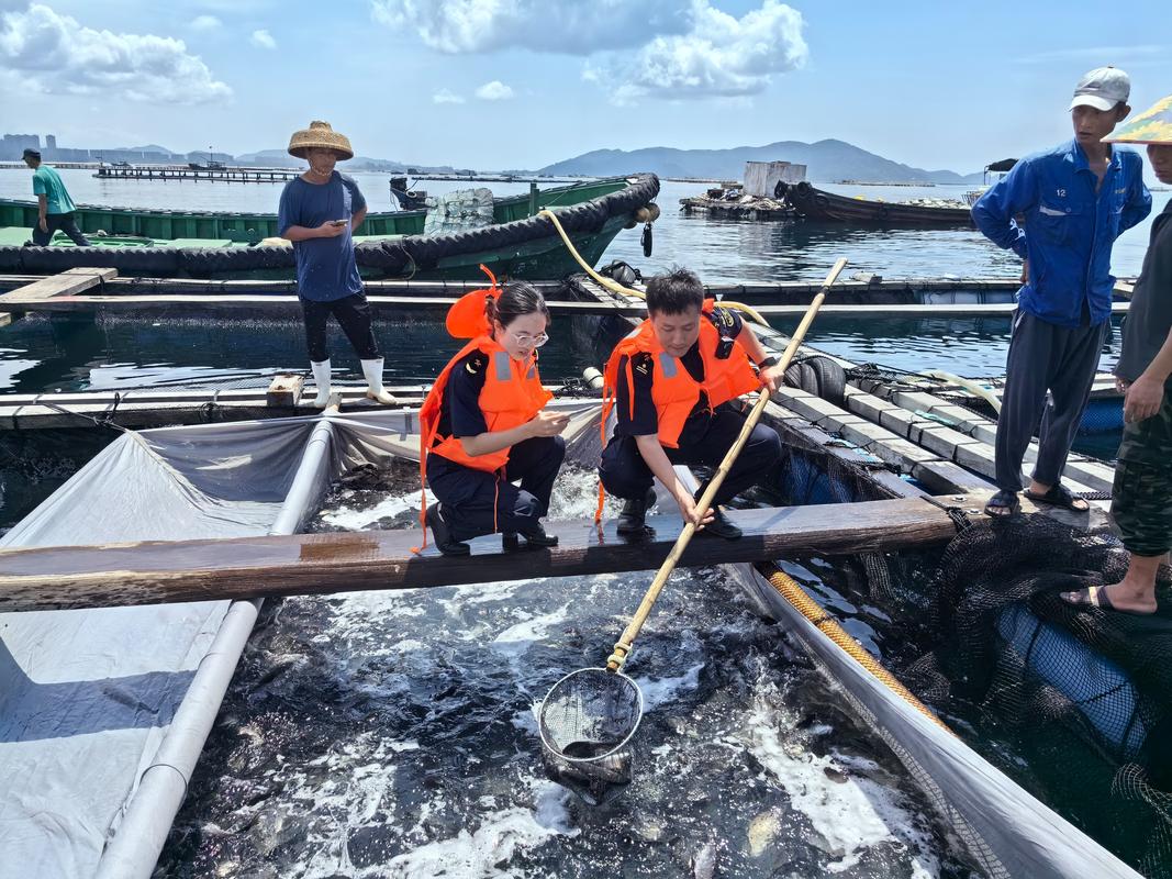 渔民抓160斤巨型石斑鱼 多人拖上岸