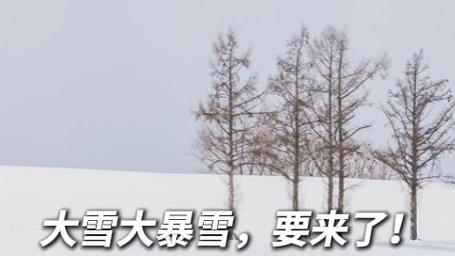 局地大雪大暴雪预警来袭