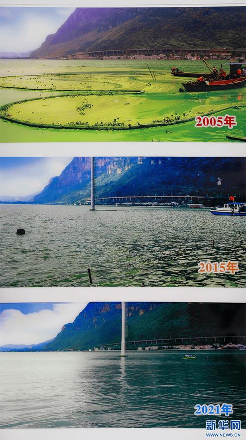 昆明滇池部分水域变绿 管理局回应
