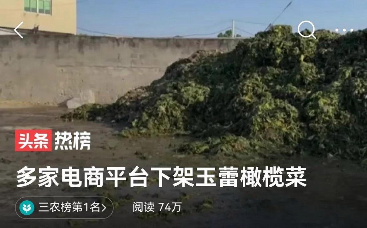 还有多少“老痰酸菜”流入了市场