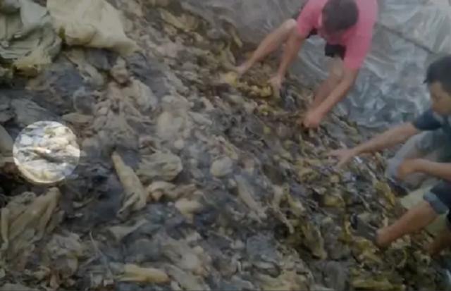 老痰酸菜究竟还有多少流入市场？