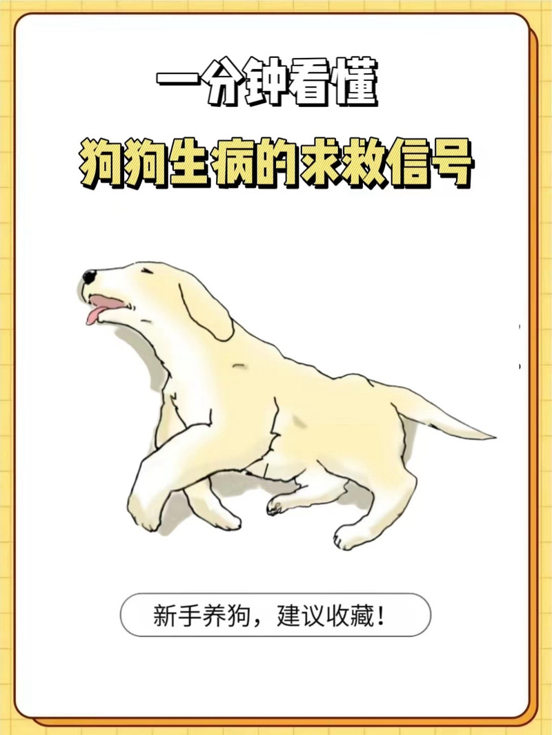 别让宠物救命血成流浪动物的索命符