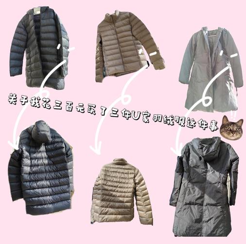 300元以下难买真羽绒服？记者调查