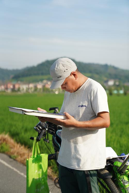 这群年轻人为什么老在田里数虫子？
