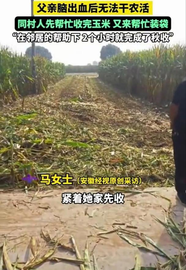 农民突发脑溢血 上百村民帮忙收玉米