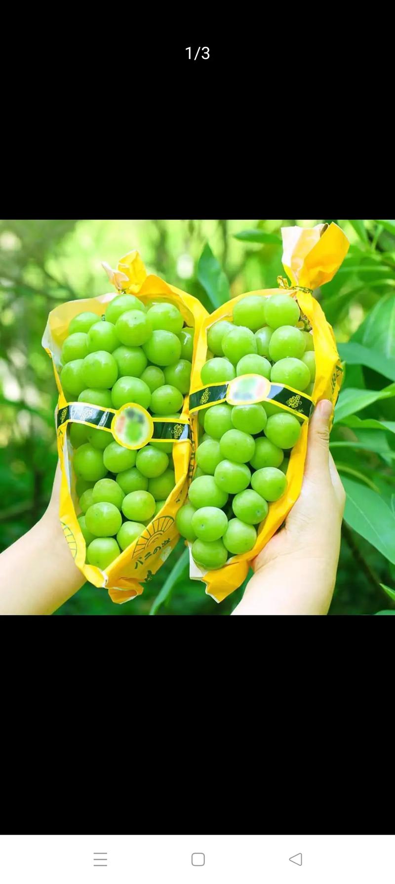 阳光玫瑰贴上这个标签后涨价数倍