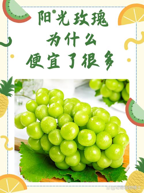 阳光玫瑰贴上这个标签后涨价数倍