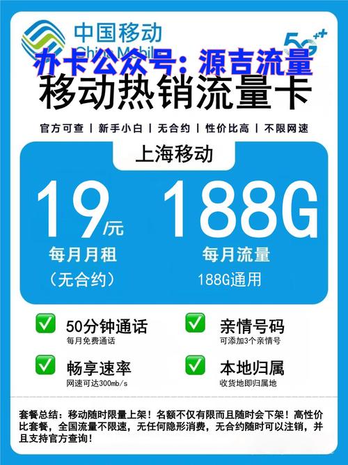 哪些手机有王卡流量监控？