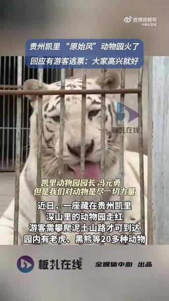 深山动物园呼吁，请勿再捐款