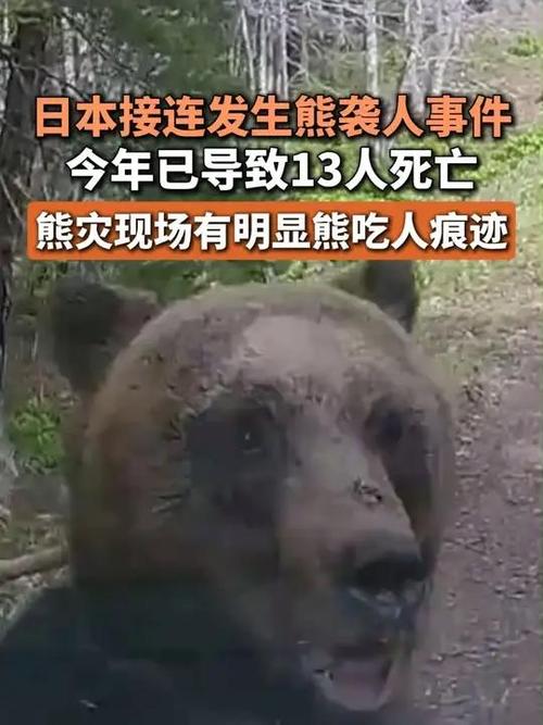 日本熊灾现场有明显吃人痕迹