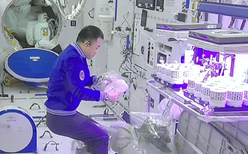 中国首次送小鼠进入“太空家园”