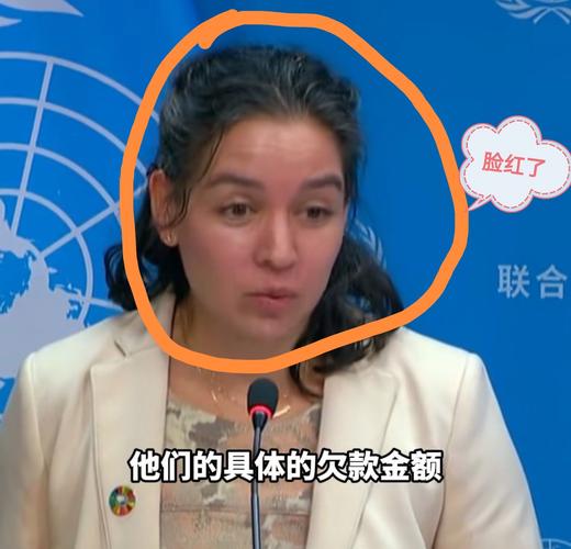 联合国感谢中国缴清会费