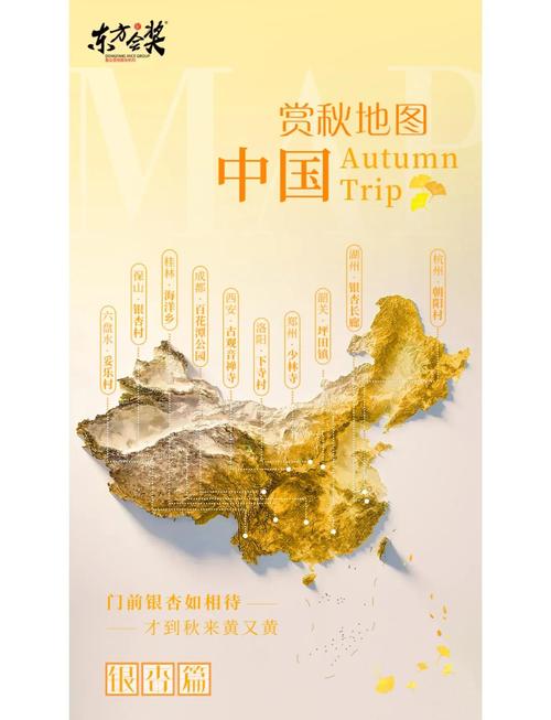 错过一年再等一年！全国银杏观赏地图指南