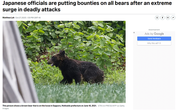 日本熊灾现场有明显吃人痕迹