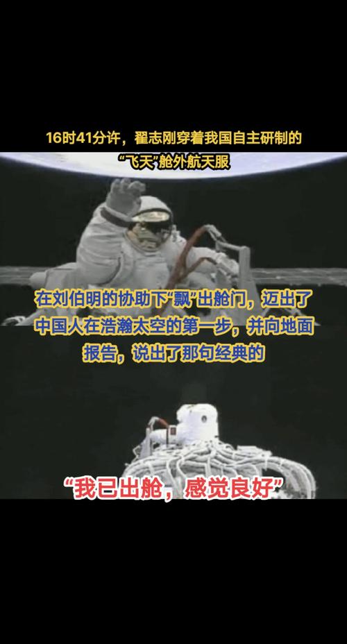 中国首次送小鼠进入太空家园，开启动物太空探索新篇章