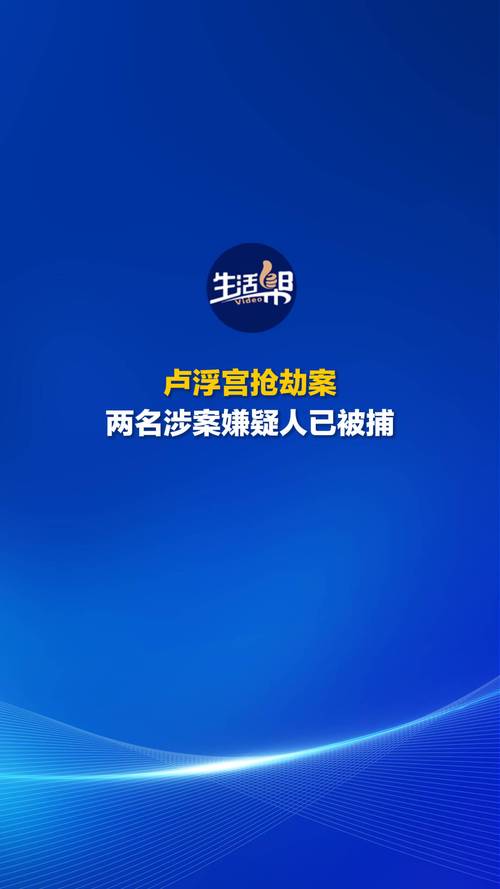 一卢浮宫抢劫案嫌疑人被起诉