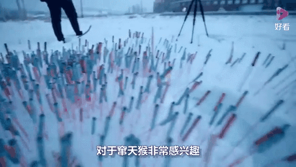 神舟二十一号发射瞬间被网友戏称为窜天猴