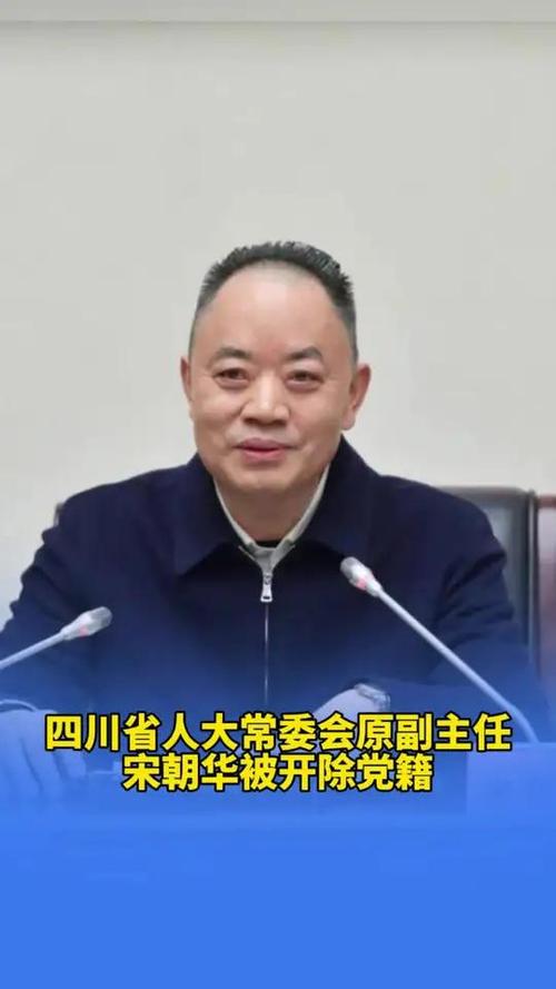 宋朝华被开除党籍，对抗组织审查，违纪行为曝光