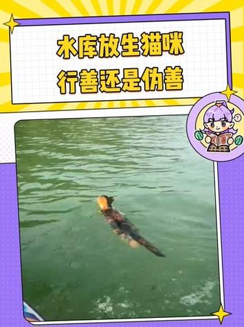 水库放生猫，善举还是隐患？