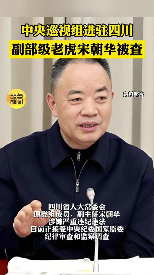 宋朝华被开除党籍:对抗组织审查