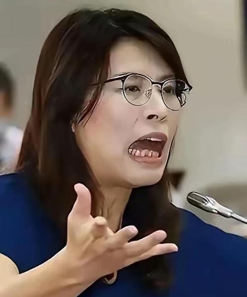 郑丽文:要终结两岸自相残杀的悲剧