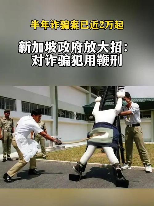 新加坡将对诈骗分子处以鞭刑