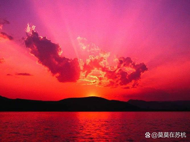 风景的预制惊喜