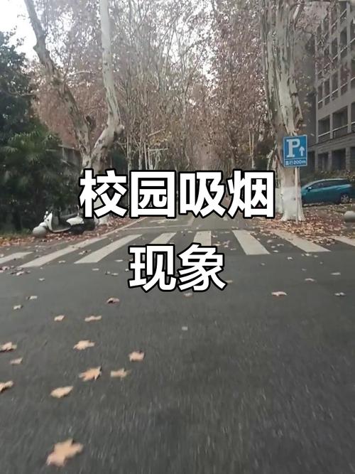 宿舍楼下设吸烟点学生吐槽 高校回应
