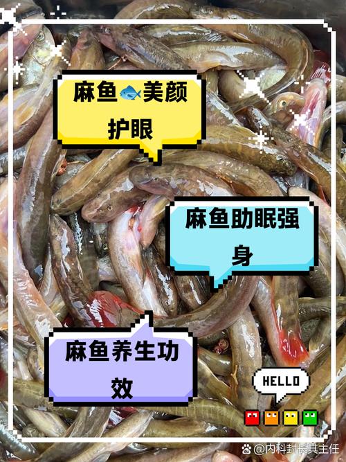 水产市场“麻醉鱼”调查