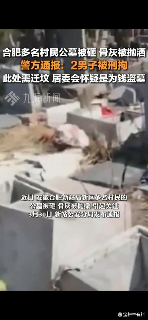 河南公墓遭冲击事件，三人被拘留